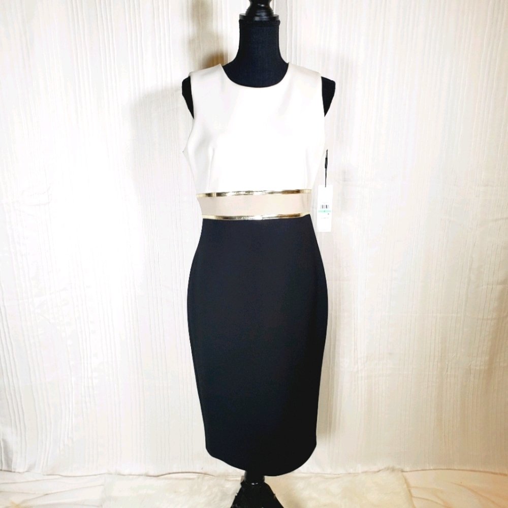 Calvin Klein Colorblock Sheath Dress-8